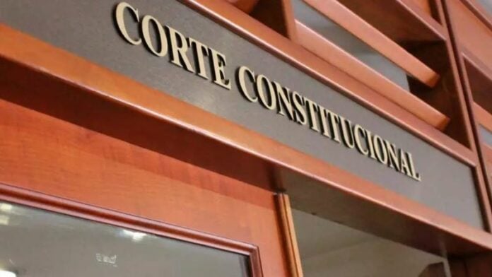 Solicitan a la Corte Constitucional revisar acción de tutela en contra del Consejo de Estado