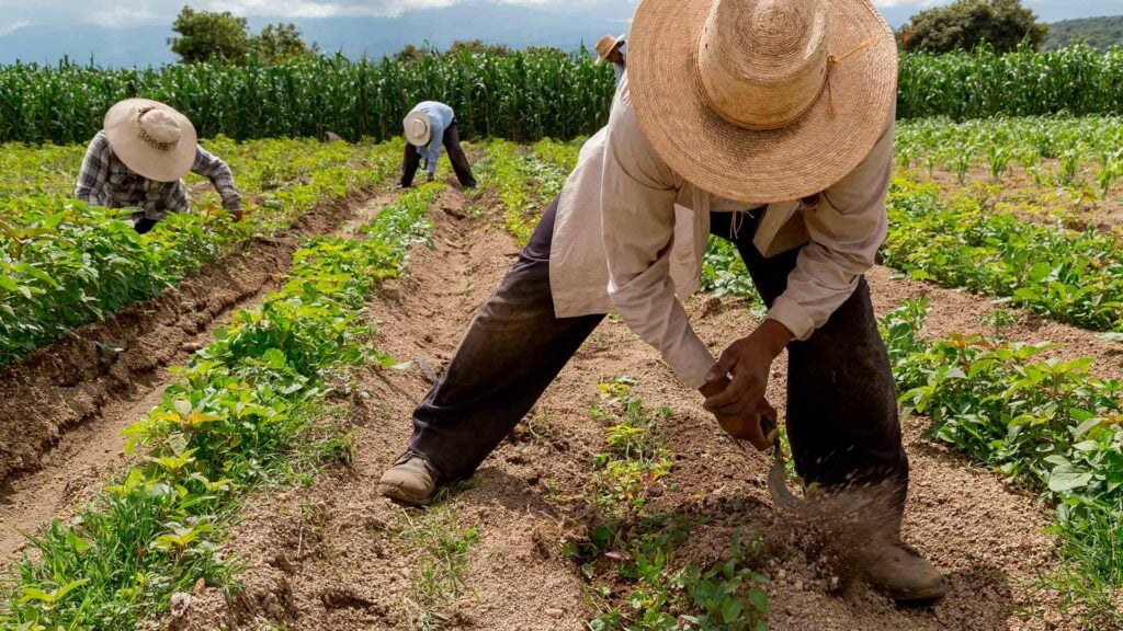 Inicia operación histórica de la Jurisdicción Agraria y Rural en Colombia