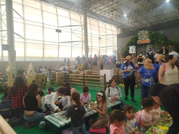 Festival buen omienzo IFM